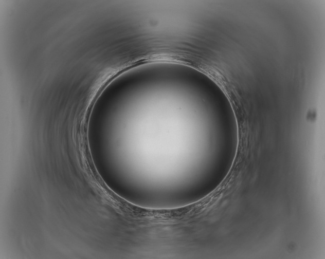 X0000091370289200708171551