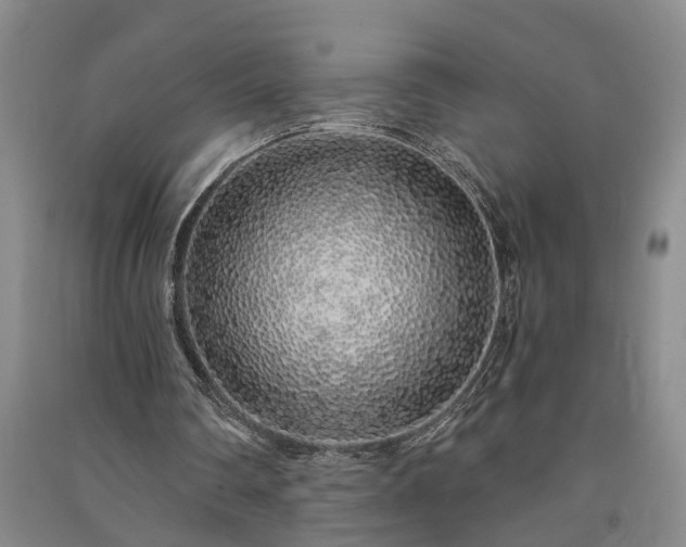 X0000091370290200708171550