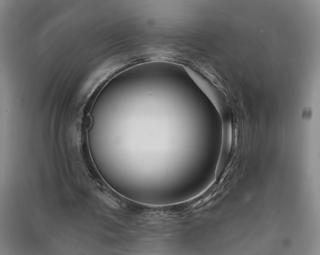 X0000091370291200708171550