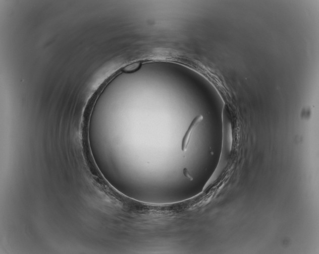 X0000091370292200708171550