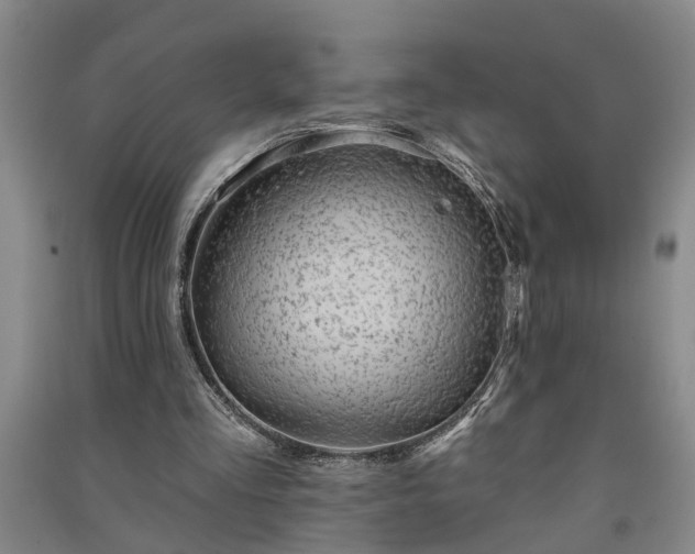 X0000091370293200708171550