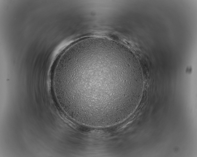 X0000091370294200708171550