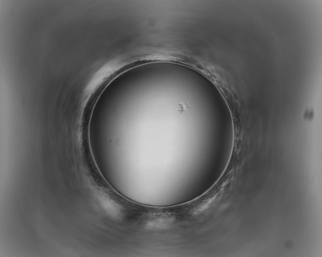 X0000091370296200708171550