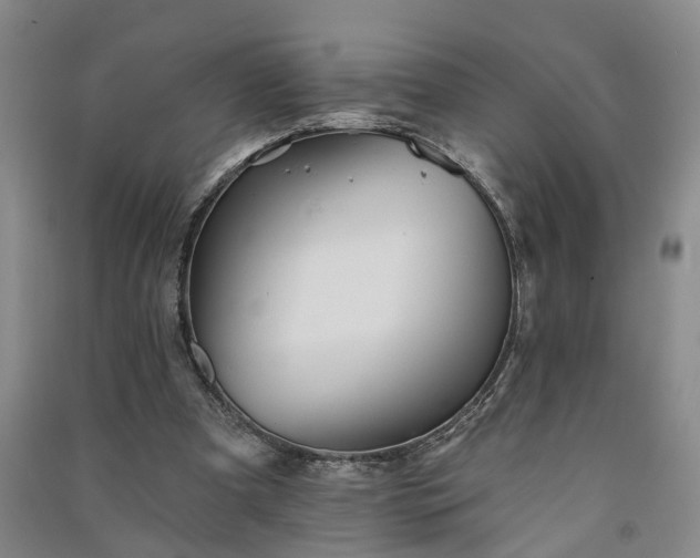 X0000091370297200708171550