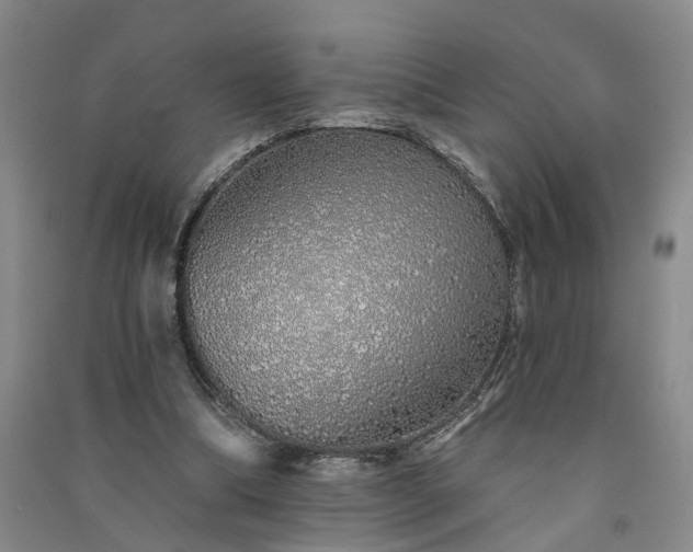 X0000091370298200708171550