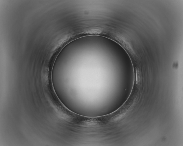 X0000091370300200708171550