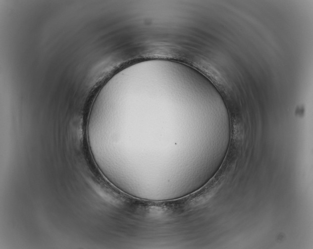 X0000091370302200708171550