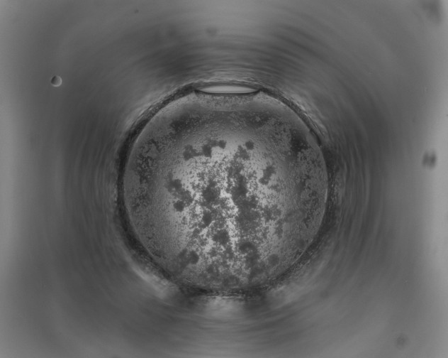 X0000091370303200708171550