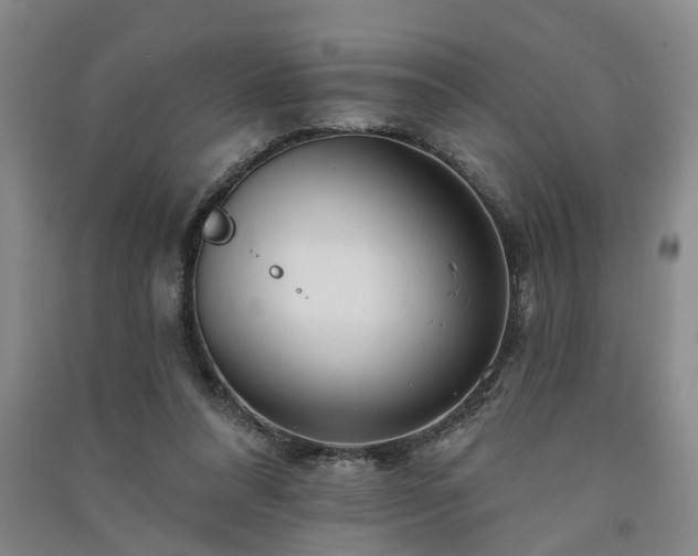 X0000091370304200708171550