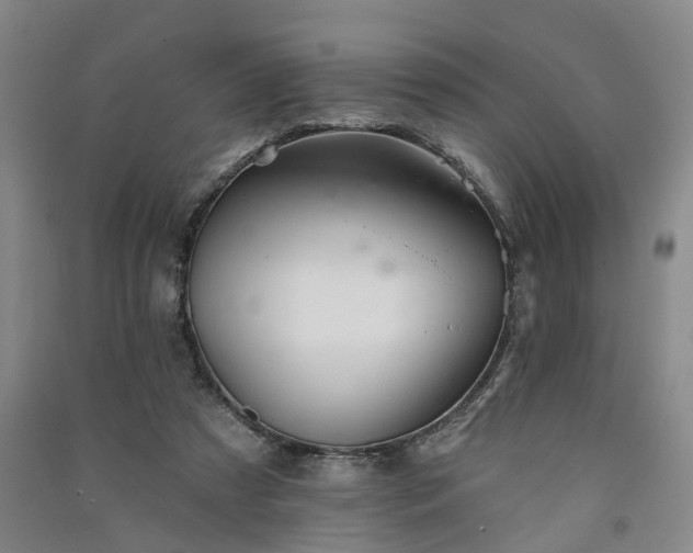 X0000091370305200708171550