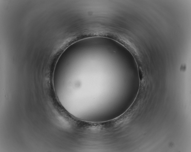 X0000091370306200708171550