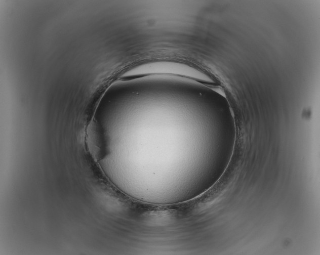 X0000091370307200708171550