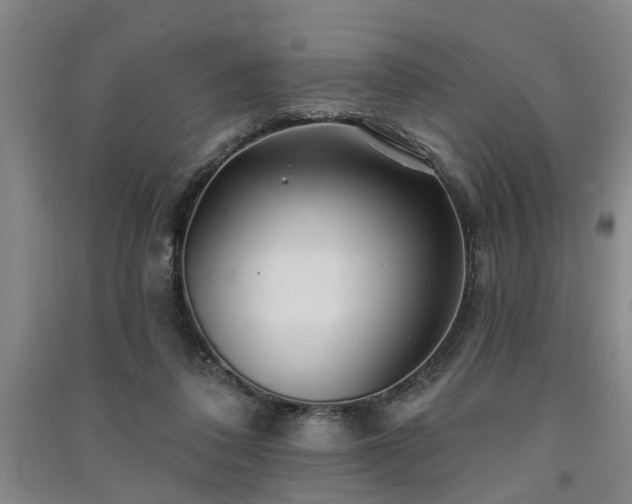 X0000091370308200708171550