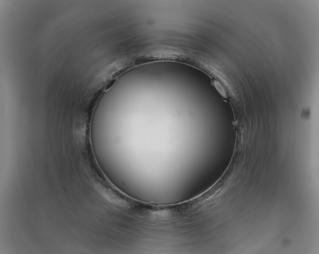 X0000091370309200708171550