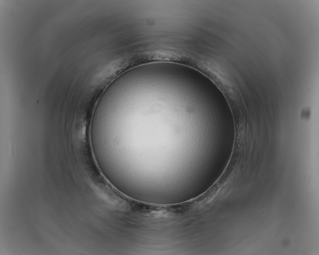 X0000091370310200708171550