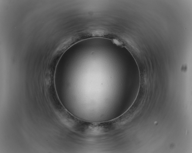 X0000091370311200708171550