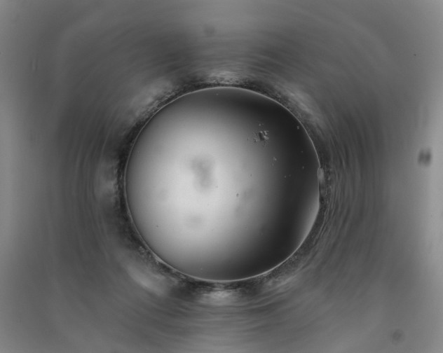 X0000091370312200708171550