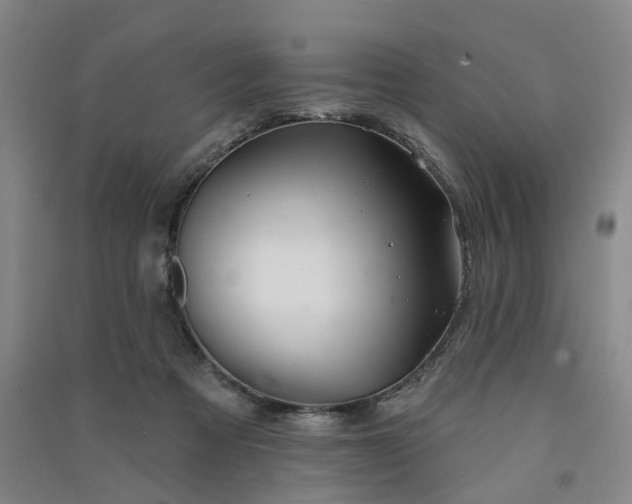 X0000091370313200708171550