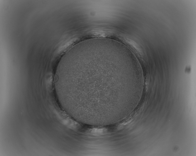 X0000091370314200708171550