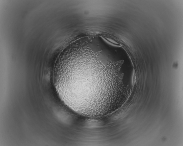 X0000091370315200708171550