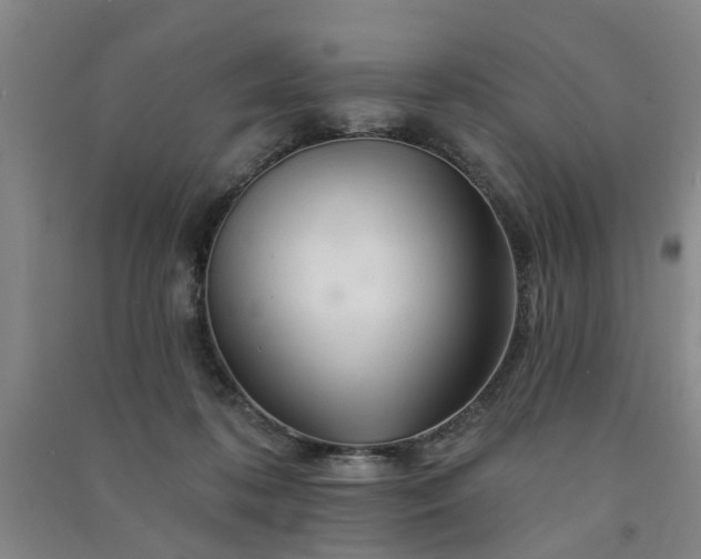 X0000091370316200708171550