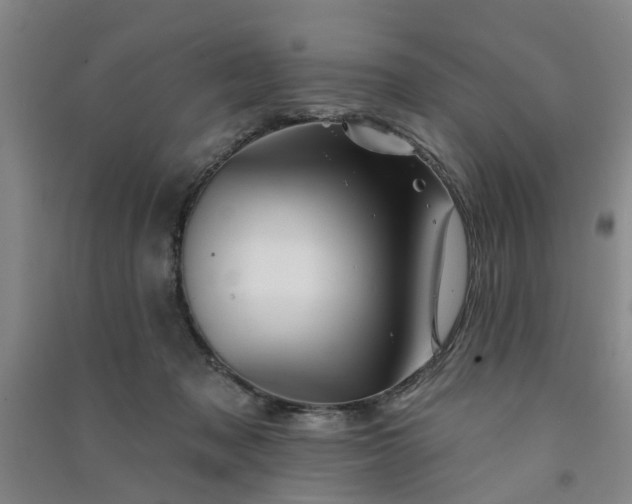 X0000091370317200708171550