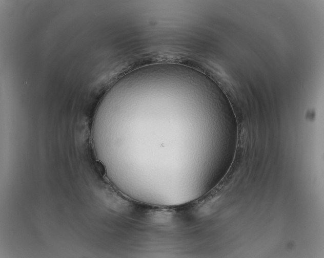 X0000091370318200708171550