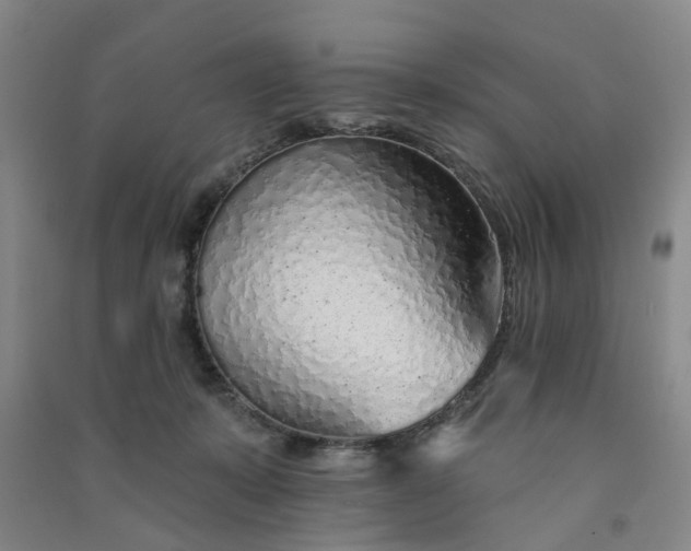 X0000091370319200708171550