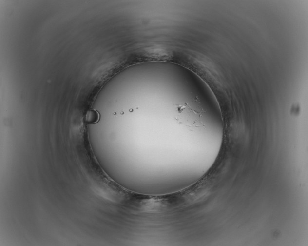 X0000091370320200708171550