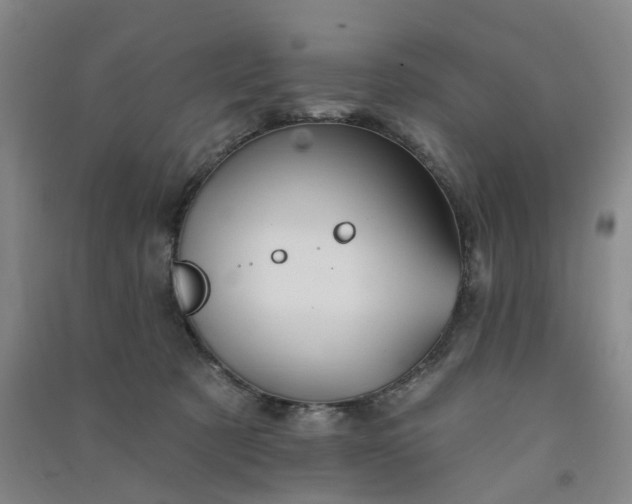 X0000091370321200708171550