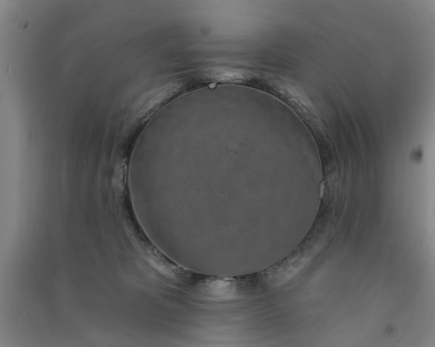 X0000091370325200708171550