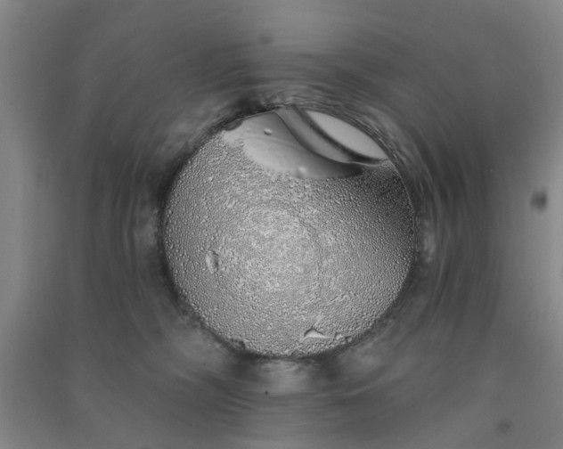 X0000091370326200708171550