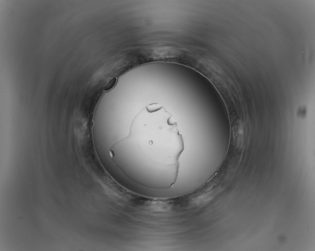 X0000091370327200708171550