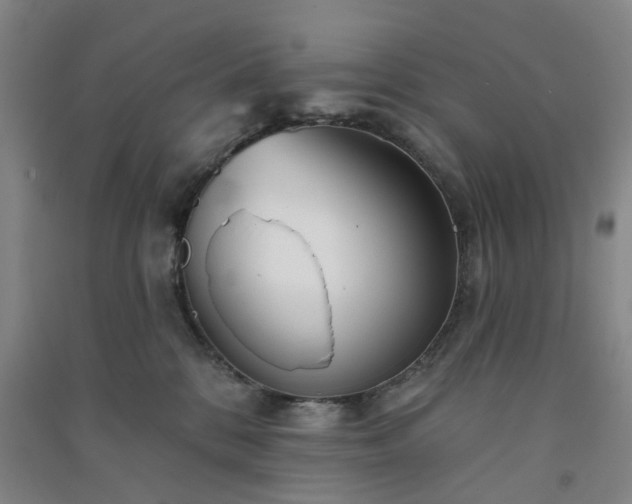 X0000091370328200708171550