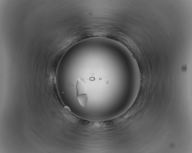 X0000091370329200708171550