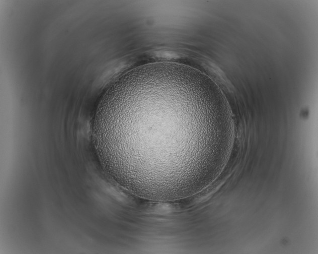 X0000091370330200708171550