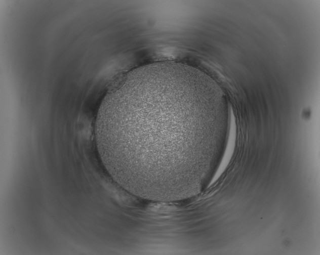 X0000091370331200708171550