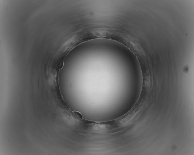 X0000091370332200708171550