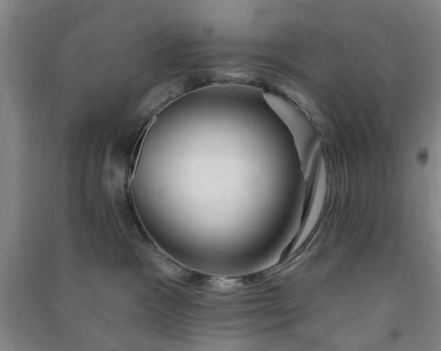 X0000091370333200708171550