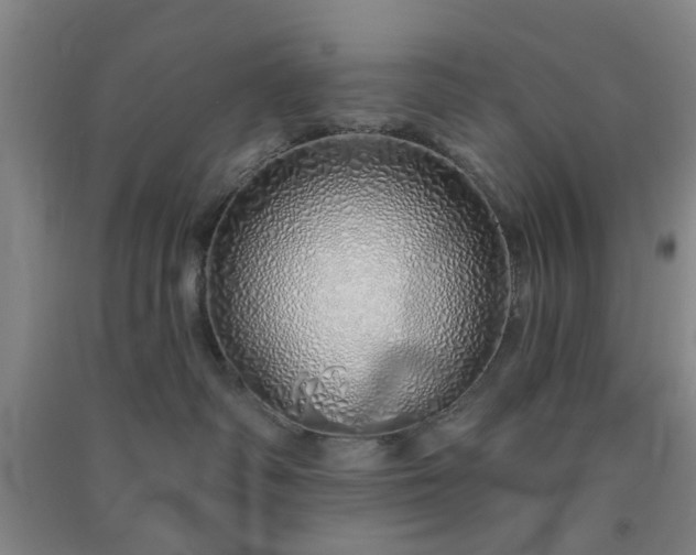 X0000091370334200708171550