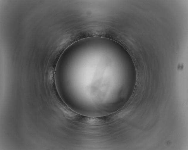 X0000091370336200708171550