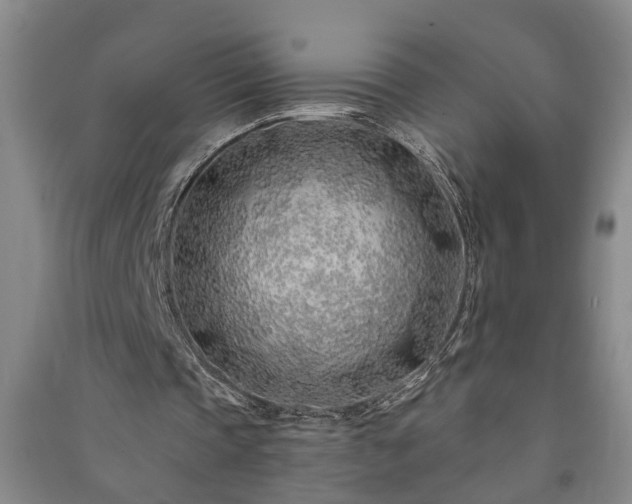 X0000091370337200708171549