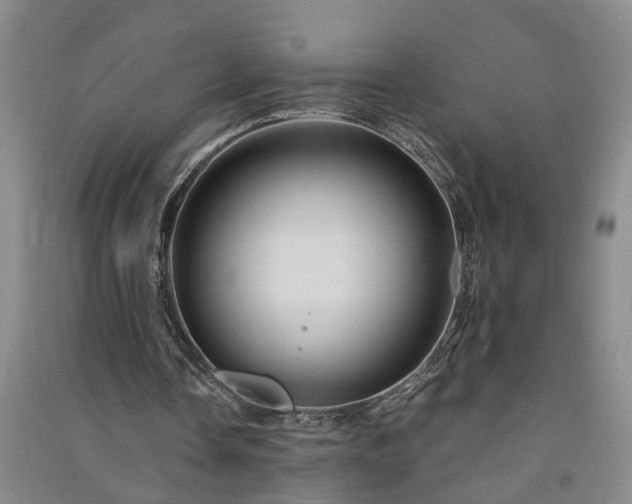 X0000091370338200708171549