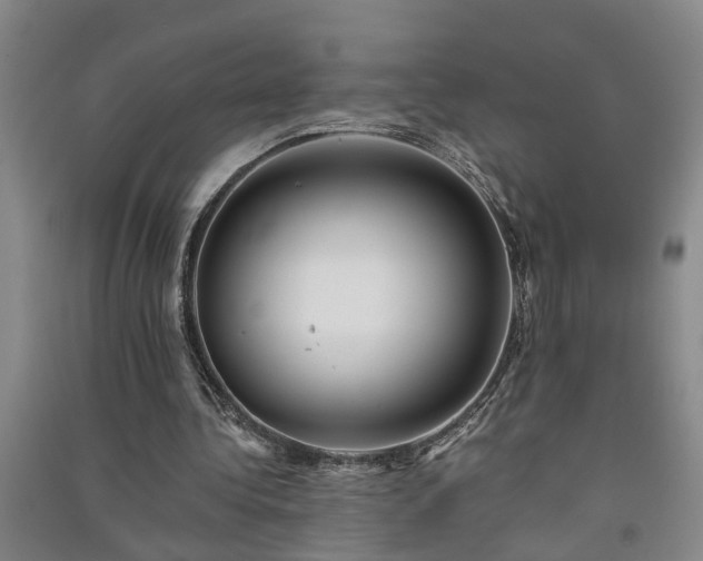 X0000091370340200708171549