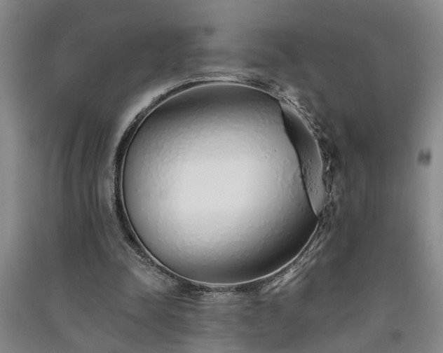 X0000091370342200708171549