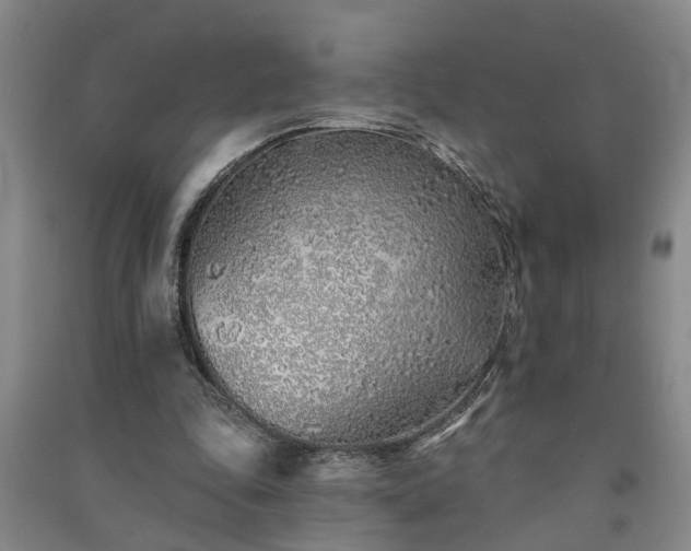 X0000091370343200708171549