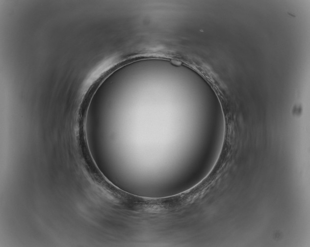 X0000091370344200708171549