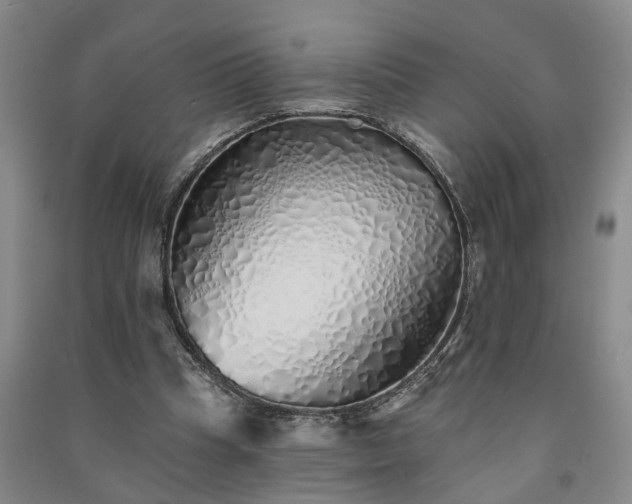 X0000091370345200708171549