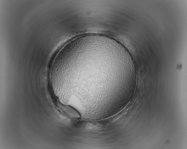 X0000091370346200708171549