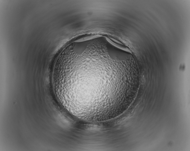 X0000091370347200708171549